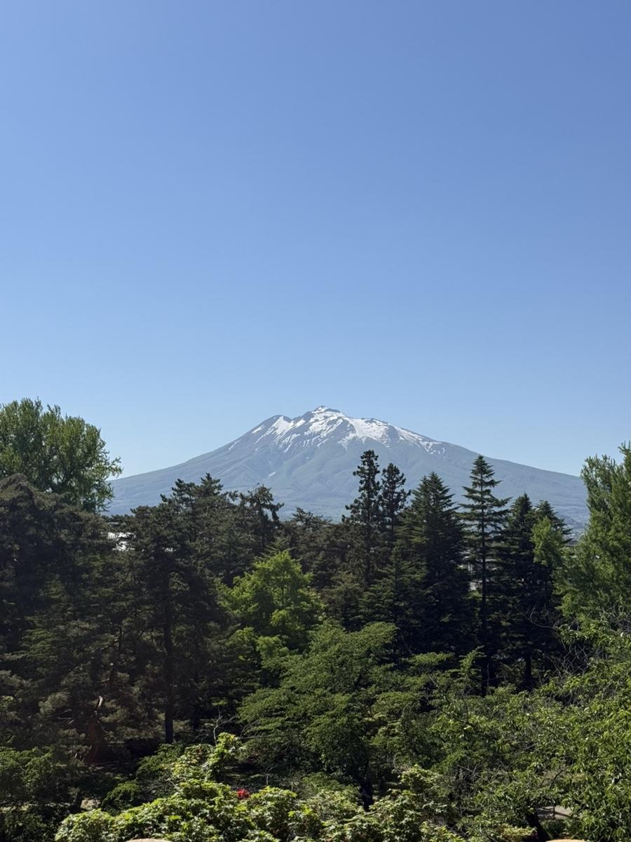 弘前公園の中で、岩木山が一番きれいに見える場所