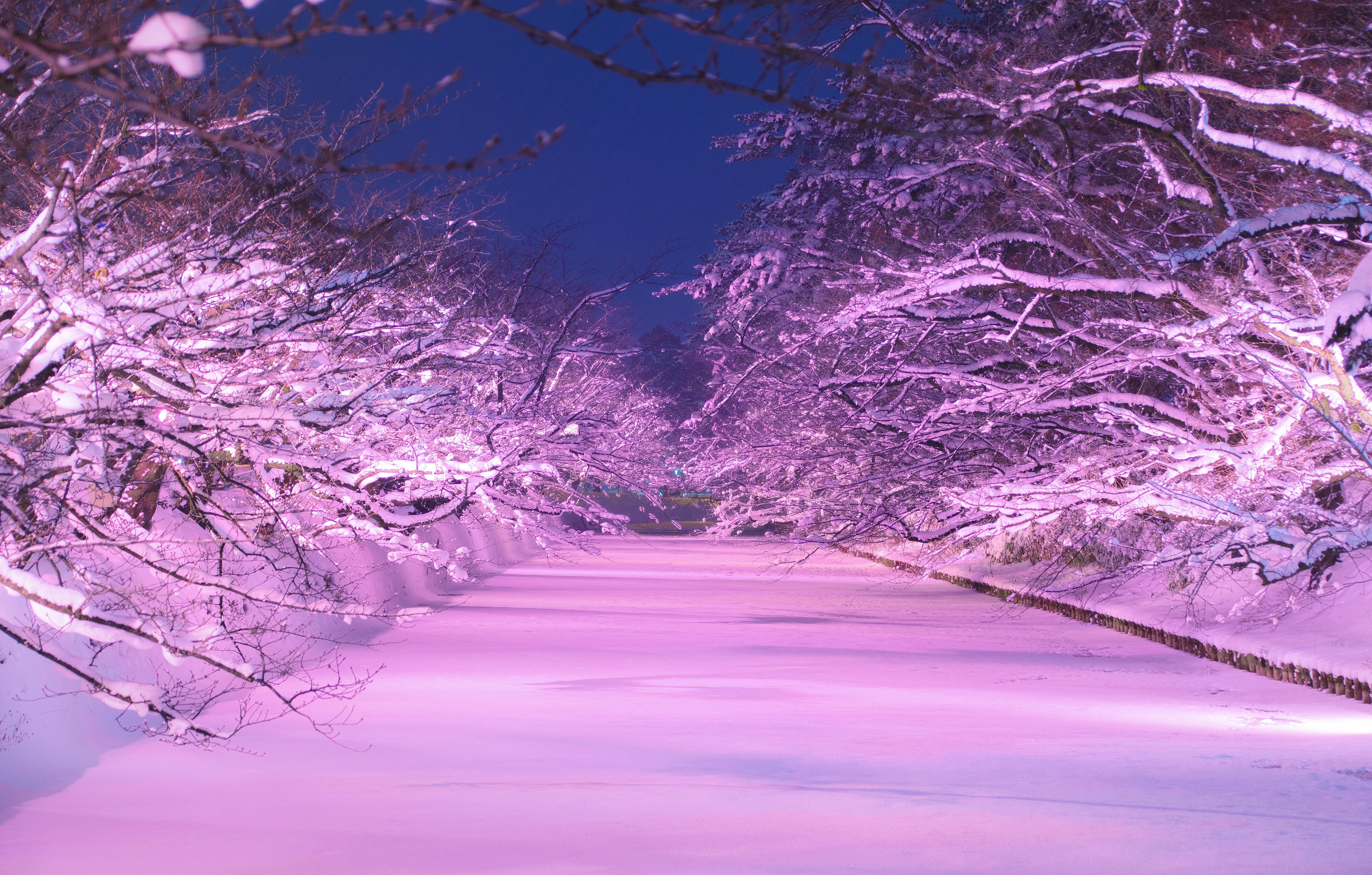 Hirosaki International Internship