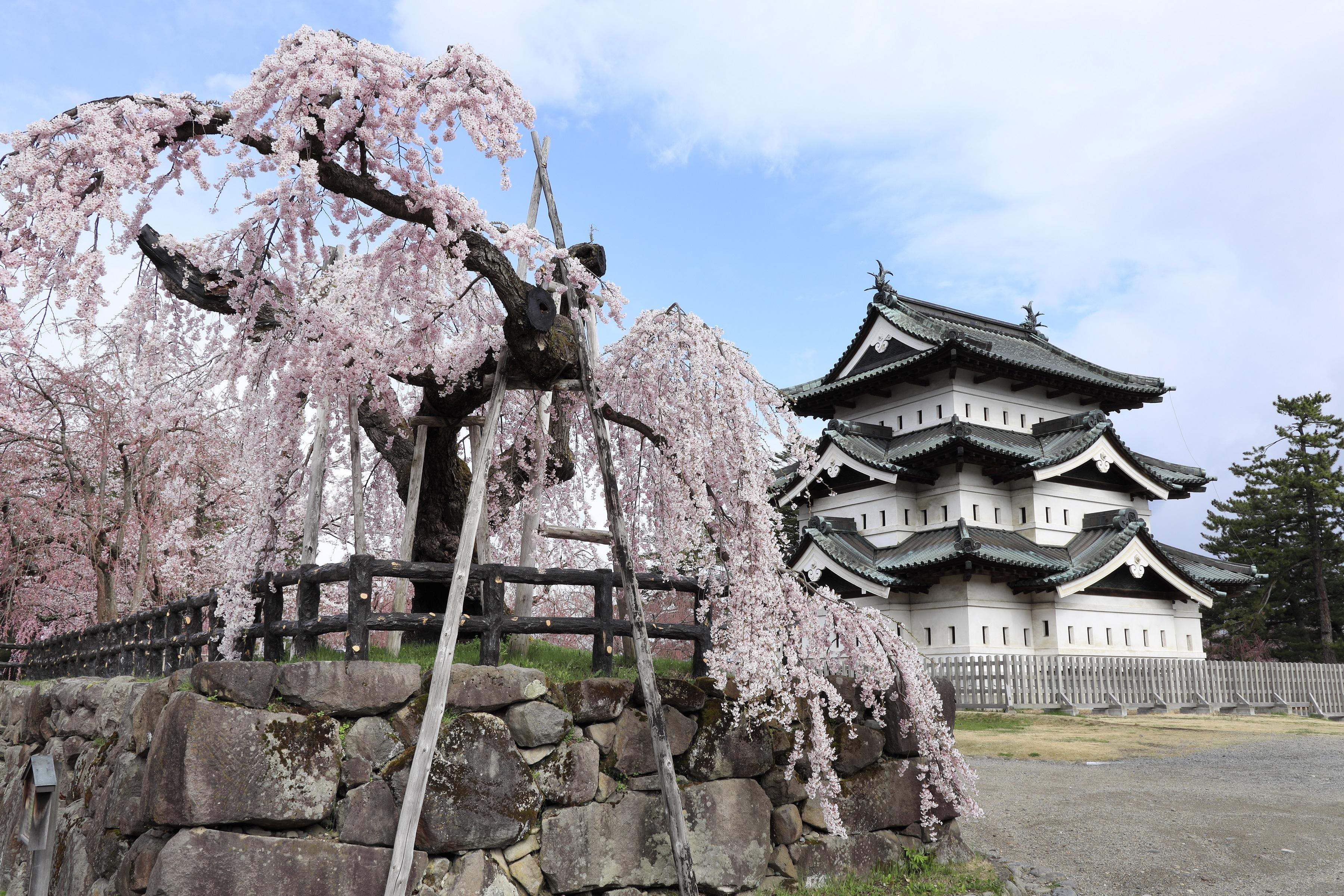Hirosaki International Internship