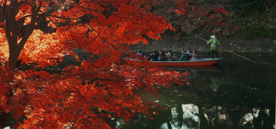 Autumn Foliage Sightseing Boat