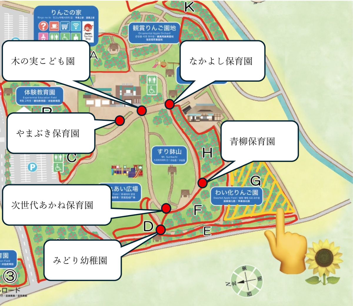 ひまわり畑案内図