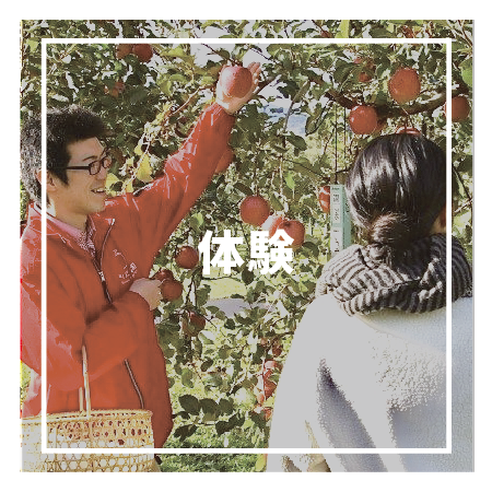 体験