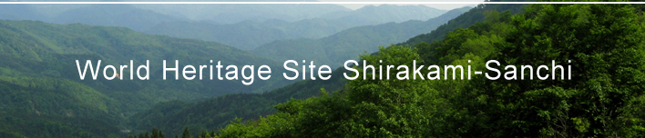 World Heritage Site Shirakami-Sanchi