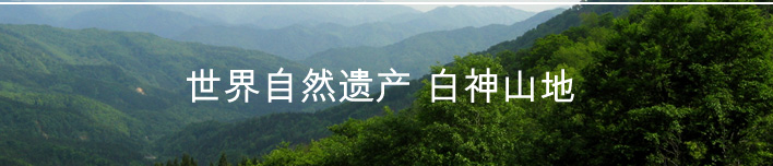 世界自然遗产 白神山地