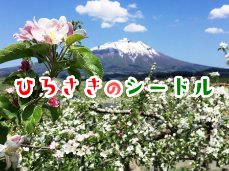弘前のシードル