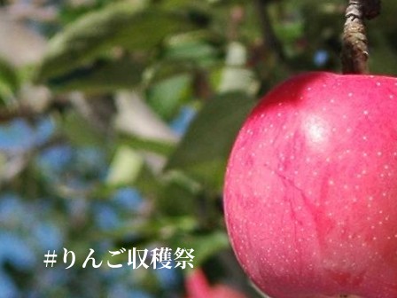りんご収穫祭