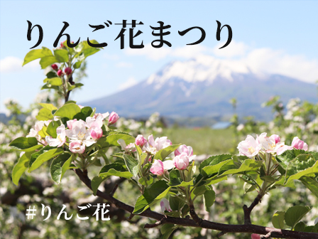弘前りんご花まつり