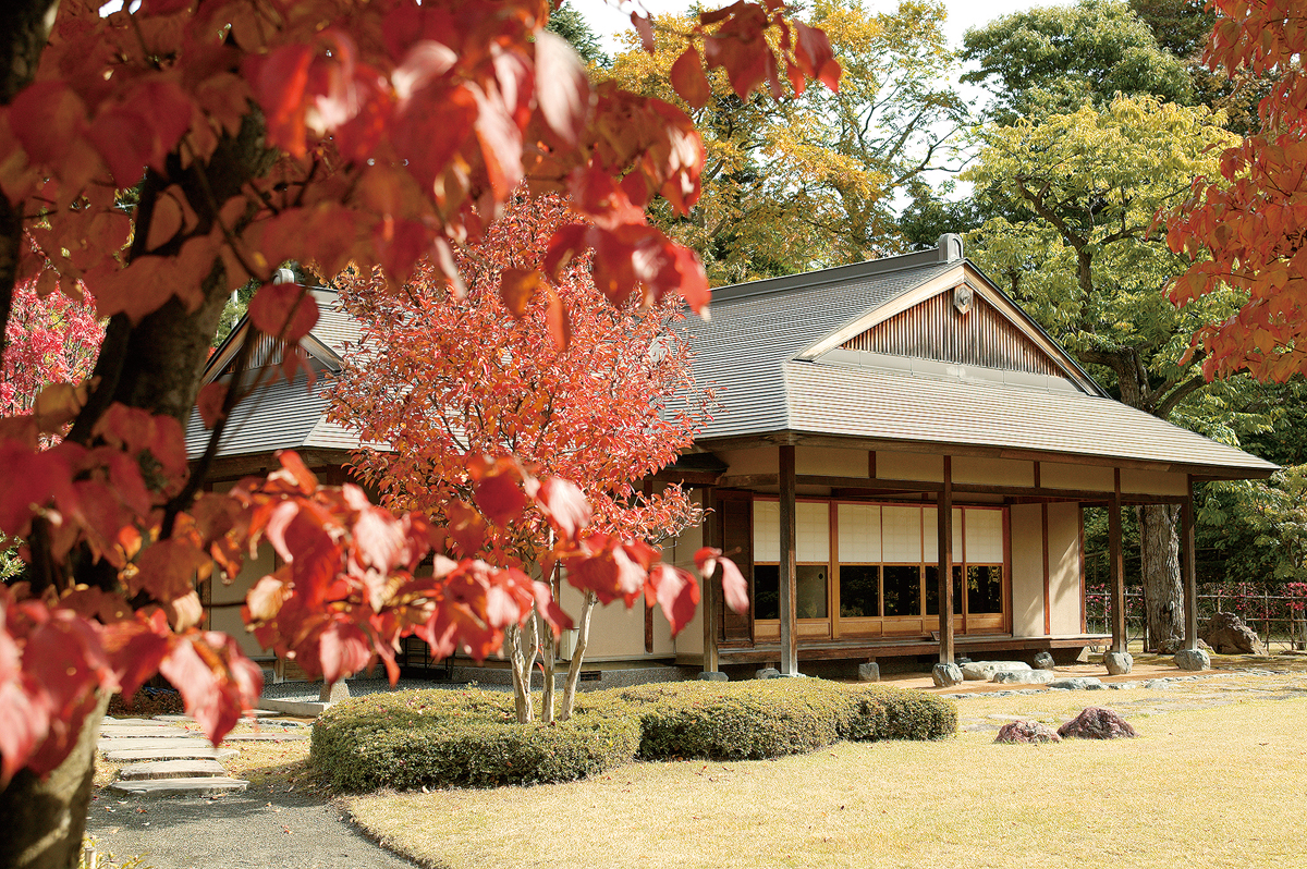 Fujita Memorial Garden2