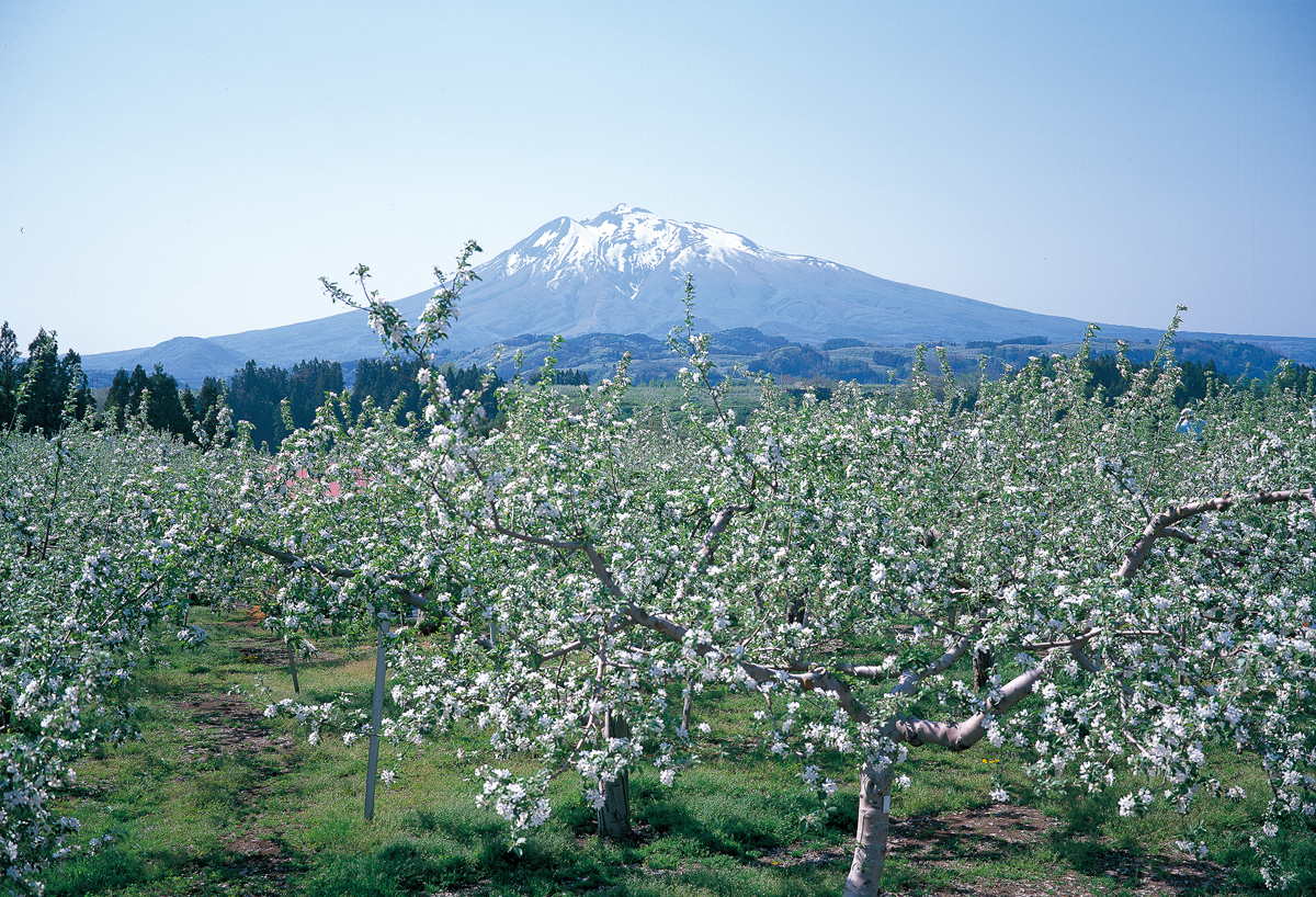 Mt. Iwaki