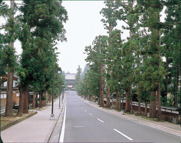 Zen Temple Area