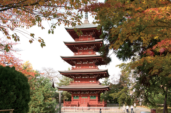 Saishoin Temple Five Storied Pagoda