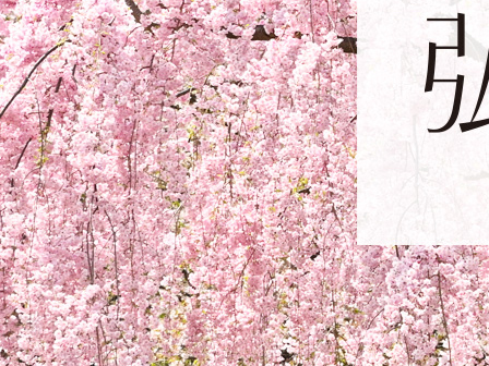 弘前桜物語 ～七にまつわる桜の物語～