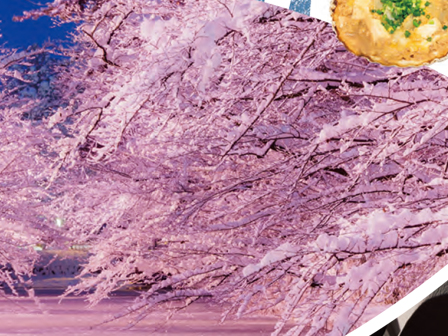 津軽ひろさき 冬の旅