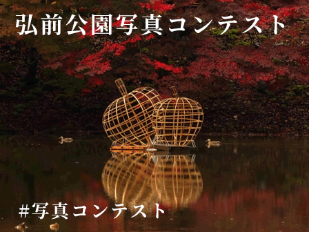 弘前公園写真コンテスト