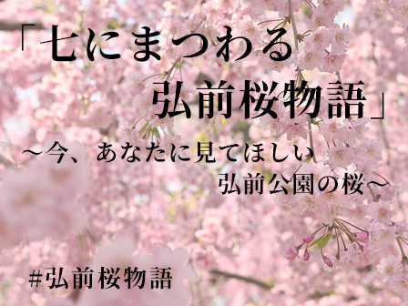 「七にまつわる弘前桜物語」～今、あなたに見てほしい弘前公園の桜～
