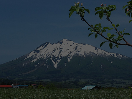 自然・景観