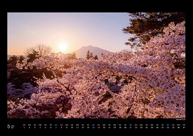 弘前公園さくらカレンダー5月