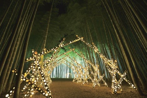 竹あかりイメージ