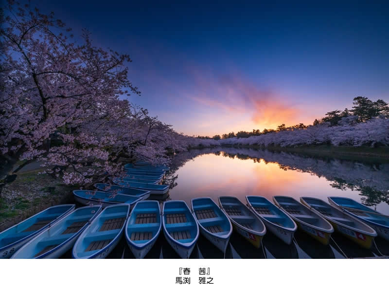 特選