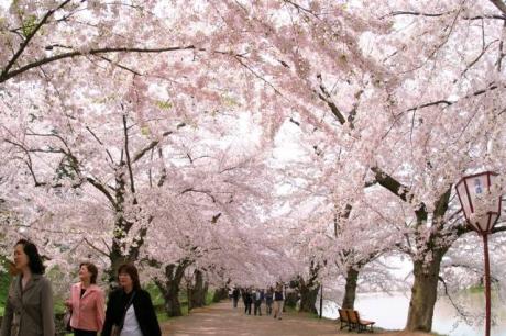 弘前公園