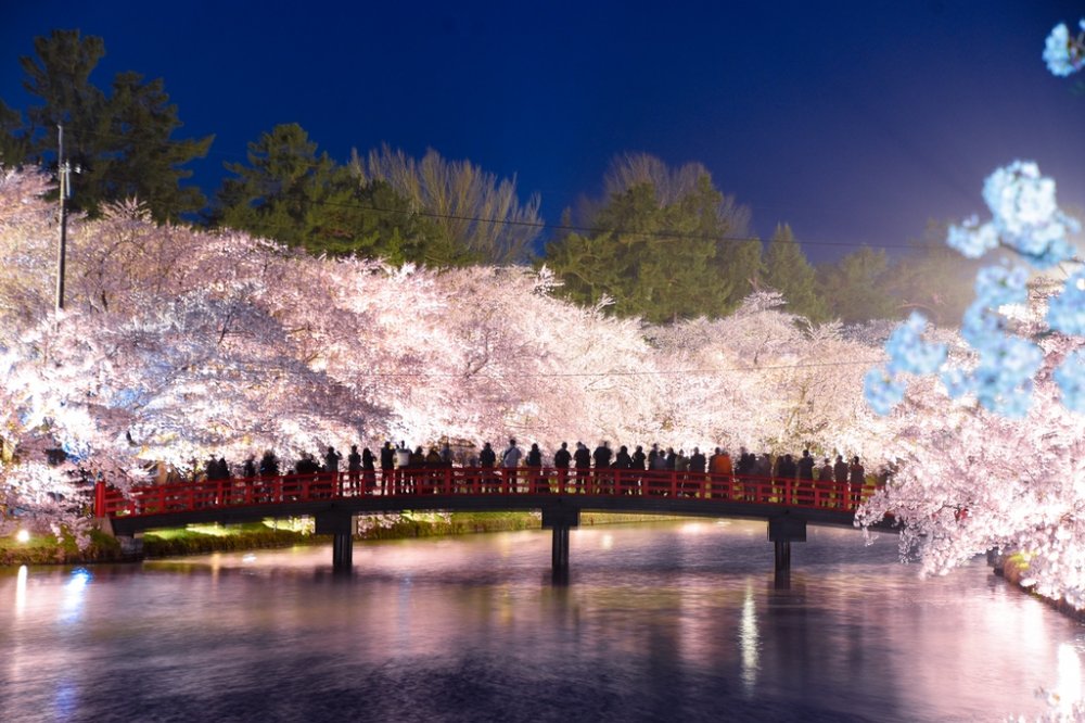 【弘前桜七景】春陽橋