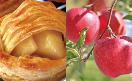 アップルパイはゆめりんごパティスリーで販売しております