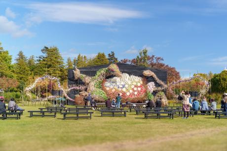 弘前城菊と紅葉まつり