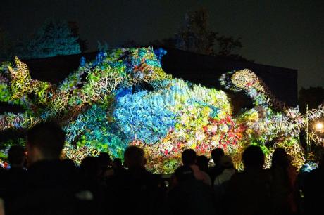 弘前城菊と紅葉まつり