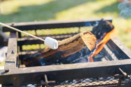 弘前城菊と紅葉まつり