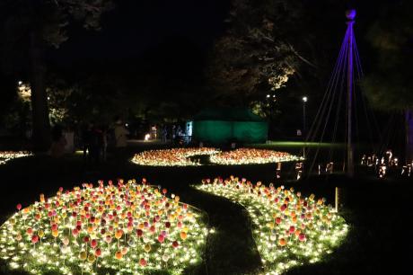 弘前城菊と紅葉まつり