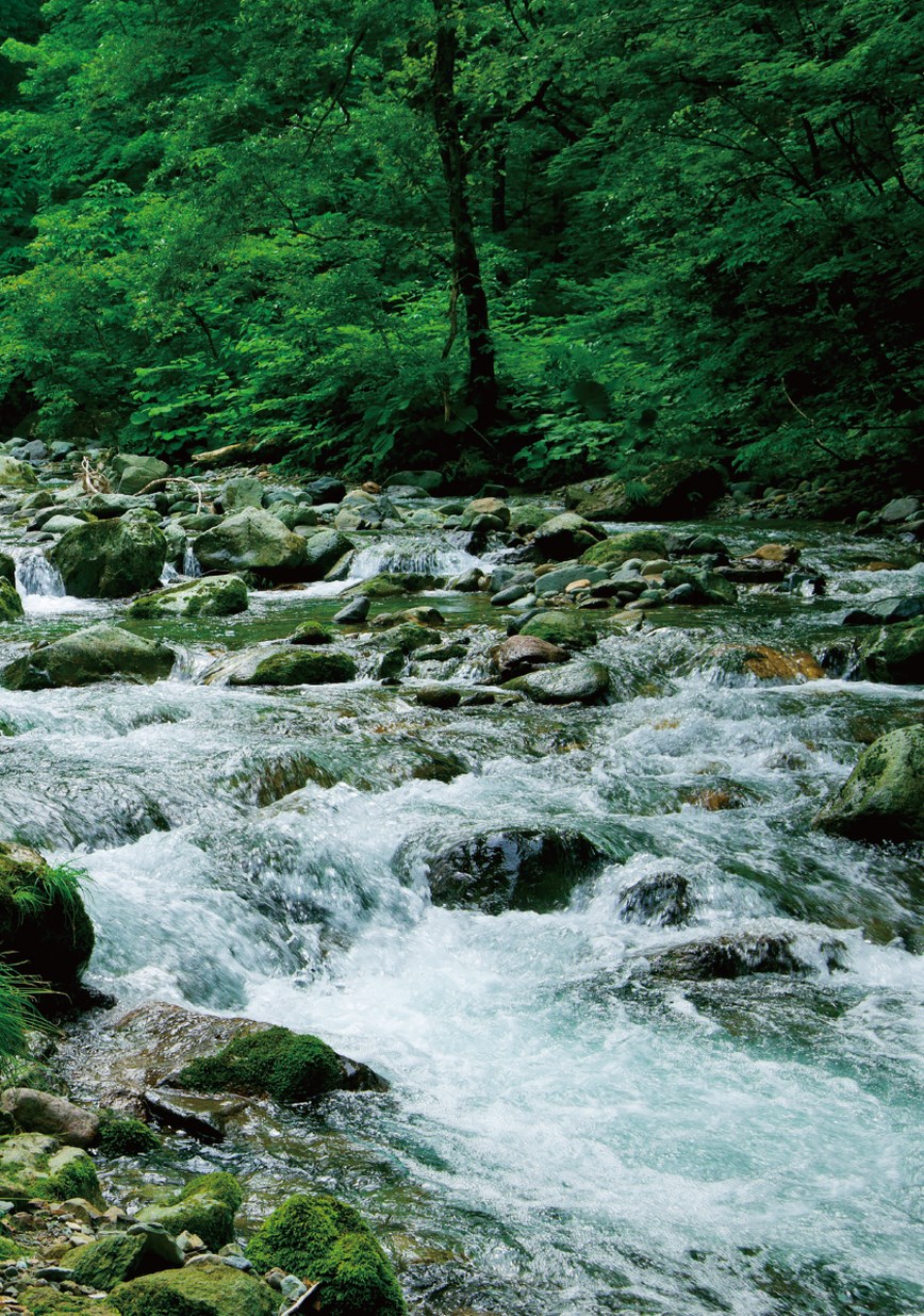 白神山地 Trip Guide Book