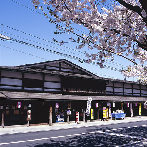 弘前の桜がすごいワケ