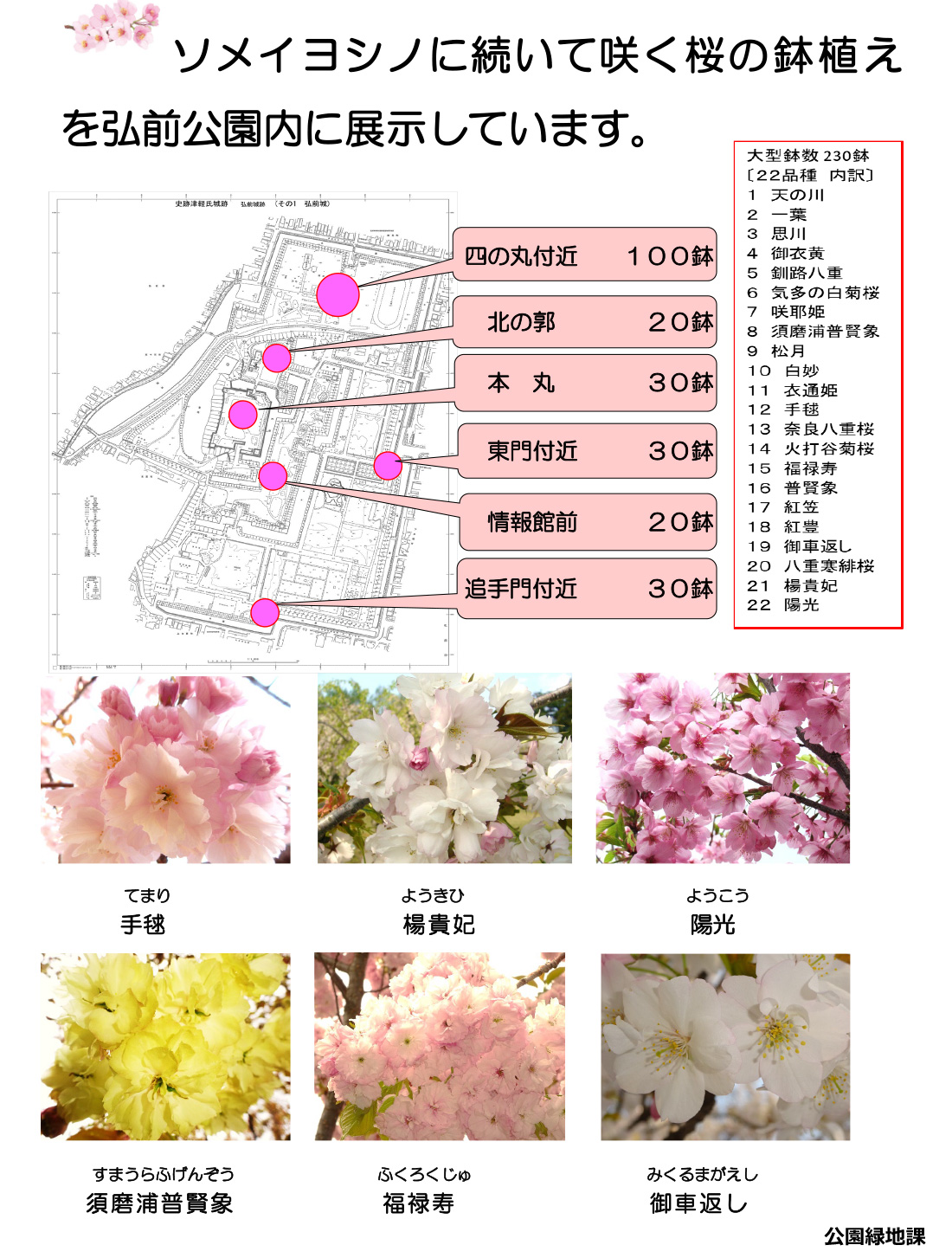 今、あなたに見てほしい弘前公園の桜7選、「弘前七桜」