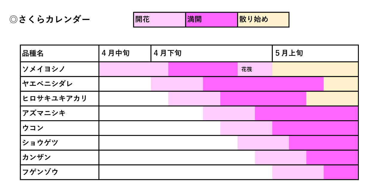 さくらカレンダー