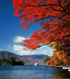 紅葉の十和田湖