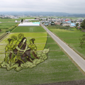 Rice Paddy Art in Inakadate Village