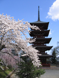 Five-Storied Pagoda