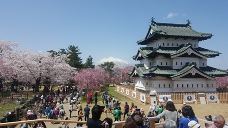 Hirosaki Cherry Blossom Festival