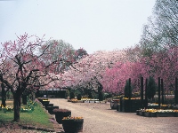 植物園