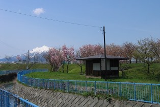 桜づつみ公園