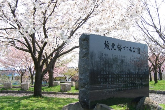 城北桜づつみ公園