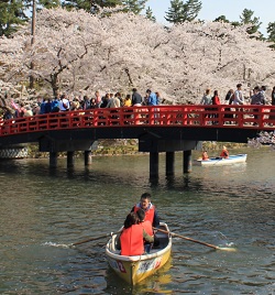 Boat Rental