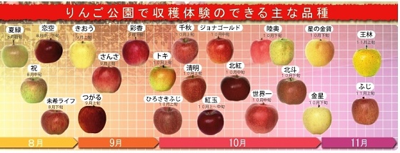弘前市りんご公園 公益社団法人 弘前観光コンベンション協会 弘前市りんご公園 公益社団法人 弘前観光コンベンション協会