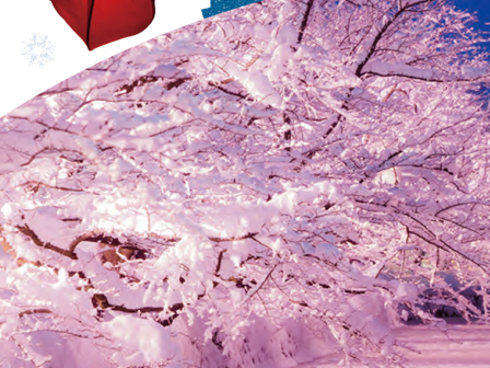 津軽ひろさき 冬の旅